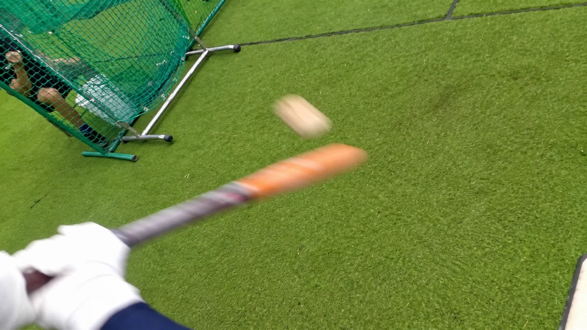 Baseball athlete point of view