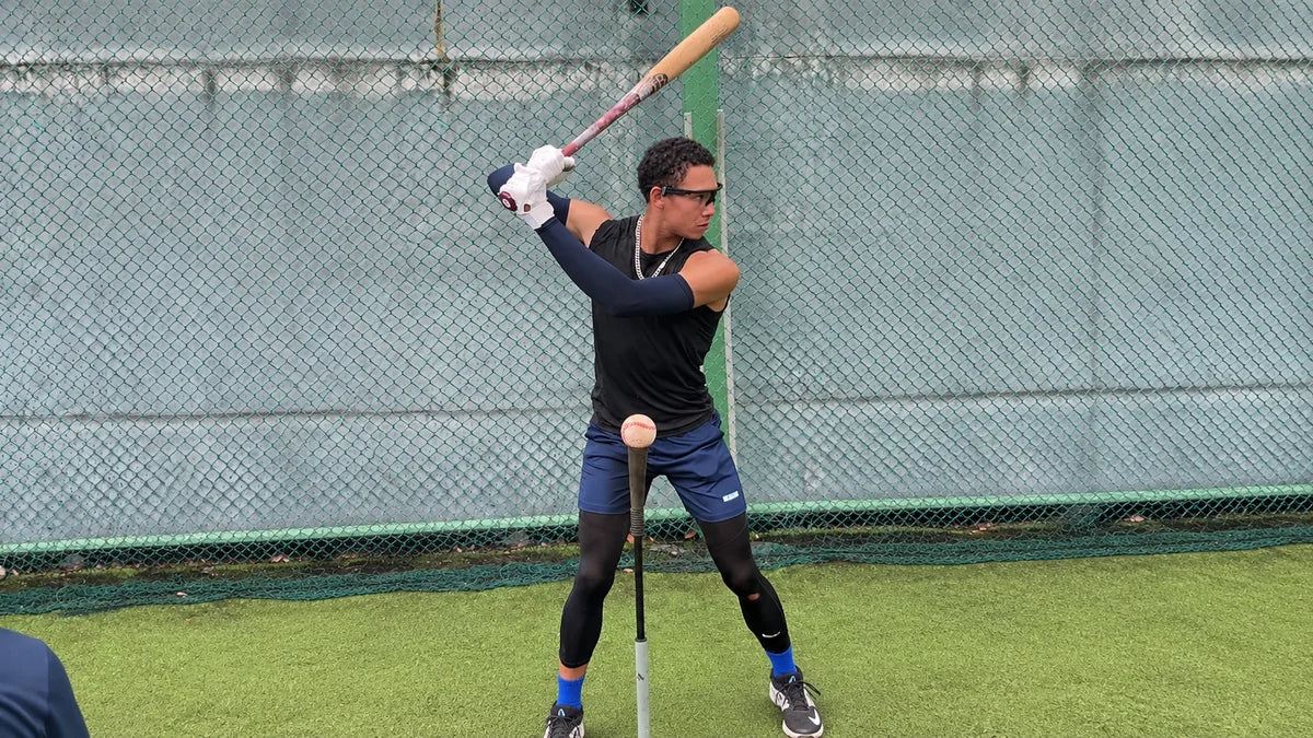 Baseball coach observing training